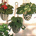 Plant Hangers pattern 