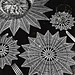 Peacock Tails Doily Set #7444 photo 3