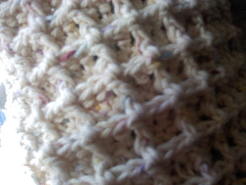 Anti Cat Dish Towel photo 2