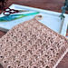 Slant Stitch Washcloth pattern 
