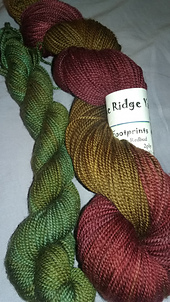 Ravelry: Blue Ridge Yarns Footprints