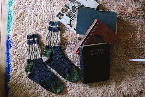 Book Seller's Socks