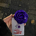 Roses Against Violence photo 3
