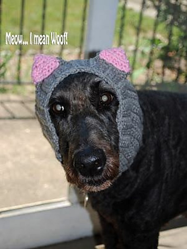 Kugel's Endless Scarf (with Cat Ears) photo 1