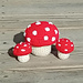 Mushroom Trio photo 3