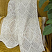 2026 Banned Books - Roses Shawlette pattern 