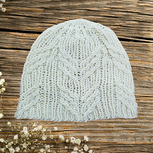 Twiny Twigs Beanie
