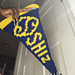 Person holds blue and yellow Shiz University pennant flag