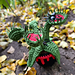 Venus Fly trap plant pattern