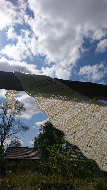 Ravelry: donnaGala's Filemot shawl