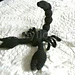 Scorpion noir pattern 