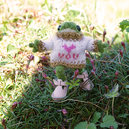 Frogs and Froglets Sweater