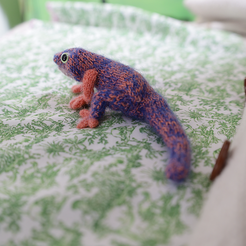 Gecko