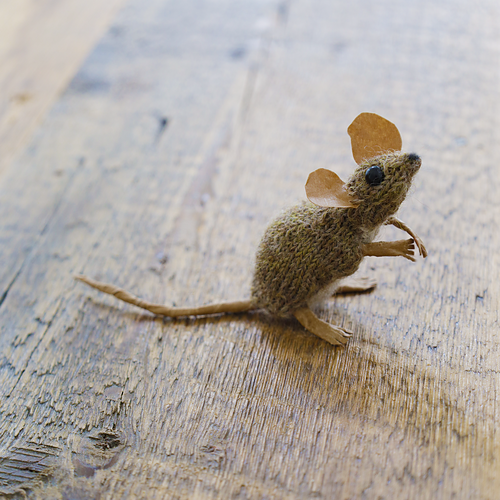Harvest Mouse