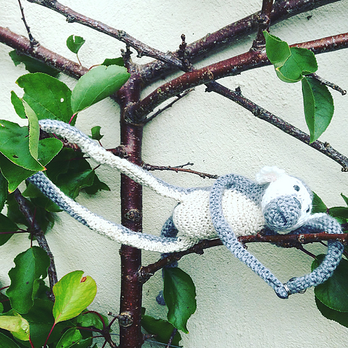 Brasiliansk Spiderapeb Mascot - Claire Garland