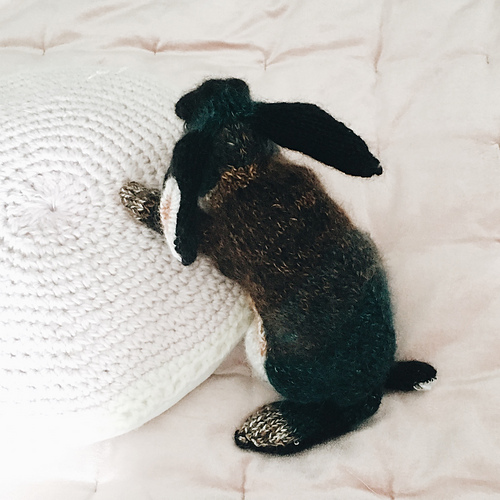 Svart Otter Rex - Claire Garland