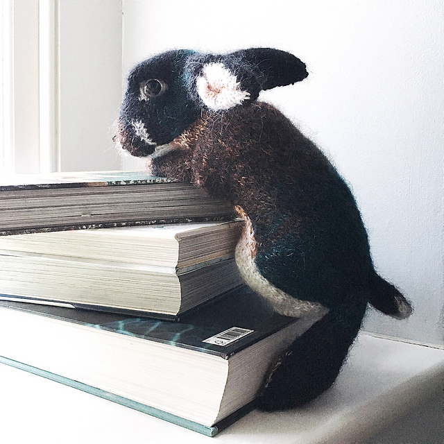 black otter rex bunnies