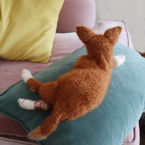 Ny kattunge - Claire Garland