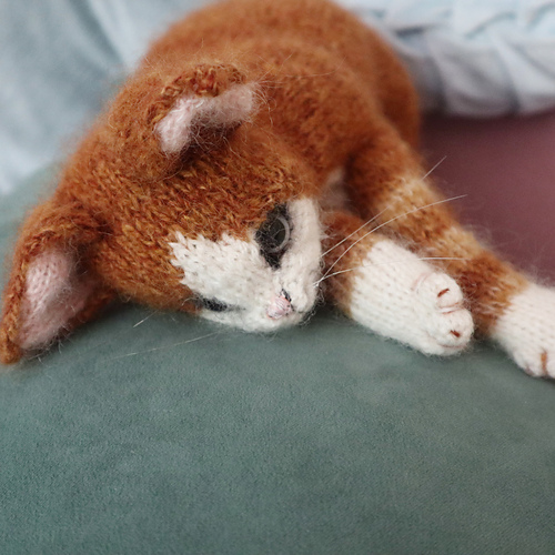 Ny kattunge - Claire Garland