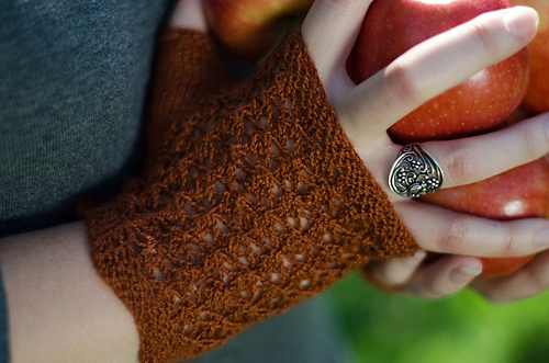 Cortland fingerless mitts photo 3