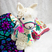 Llama-No-Drama photo 4
