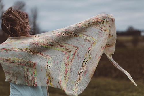 Birds of a Feather - Andrea Mowry