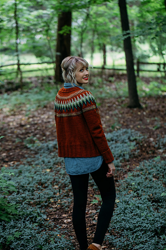 Tilbakeblikk Genser - Andrea Mowry