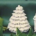 Fir Tree pattern 
