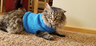 Dapper Blue Cat Sweater pattern by 