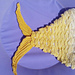 cuddly Fin - Die Flosse zum kuscheln photo 4