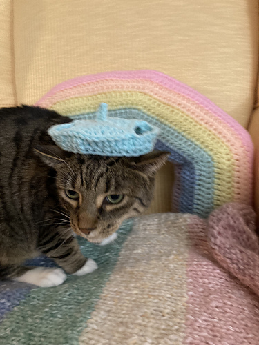 Beret pour chats photo 2
