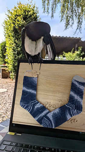 Elsbert die Elster ist Namensgeber der Socken