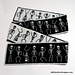 Spooky Scary Skeleton Scarf pattern