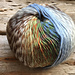 One Ball Fresh Breeze Hat photo 4