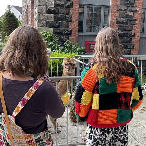 Harry Styles inspirert Cardigan - Eleonora Tully