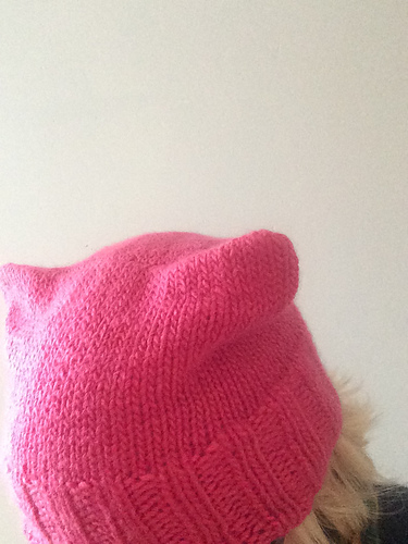Pussy Hat In The Round (Look Ma, no seams!) photo 1