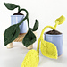 Pothos pattern
