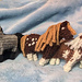 mini horse pattern 