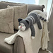 Couch Potato cat pattern