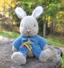 Bunny Rabbit in Blue Jacket