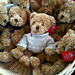 Klose Knit's Teddy Bear Sweater photo 3