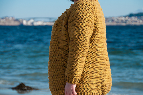 Flavus Cardigan on Ravelry photo 7