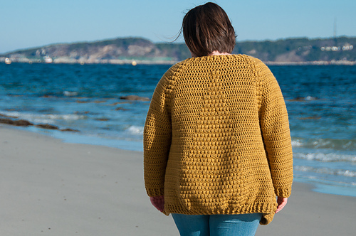 Flavus Cardigan on Ravelry photo 11
