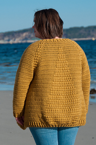 Flavus Cardigan on Ravelry photo 1