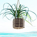 Easy Plant Hanger photo 3