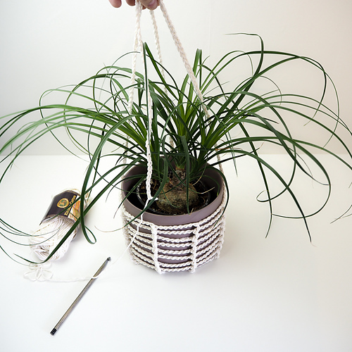 Easy Plant Hanger photo 8