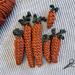 Crunchy Carrots pattern