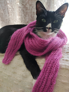 Delighted to model the scarf :rolling_on_the_floor_laughing::heart_eyes_cat::rolling_on_the_floor_laughing: