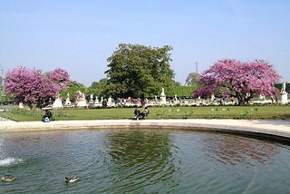 Tuileries during spring