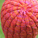 Tropical Twist Hat photo 4